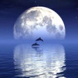 Icon of program: Reflection - Create Water…