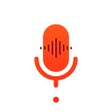 Icon of program: Microphone - recorder voi…