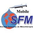 Icon of program: SFM mobile