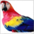 Icono de programa: PolyRootsRB