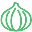 Icon of program: Agile Onion