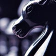 Icon of program: Chessimo 2.0