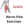 Icon of program: Sciatic Nerve Pain Exerci…