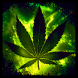 Icono de programa: Weed Rasta Keyboard