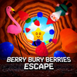 Icono de programa: Berry Bury Berries Escape