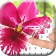 Icon of program: Flower Garden Color By Nu…