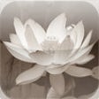 Icon of program: Stress Relief by Dr. Fran…