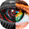 Icon of program: Wink