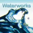 Icon of program: Waterworks Pool Co