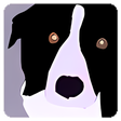 Icon of program: Rotoscope