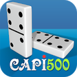 Icon of program: Capi500