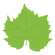 Icono de programa: GrowBox