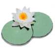 Icono de programa: LilyPond