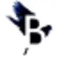 Icon of program: Birdfont