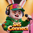 Icono de programa: SH5Circuit Connect