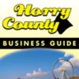 Icon of program: Horry County Business Gui…