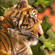 Icono de programa: Jigsaw Puzzle