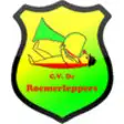 Icon of program: C.V. De Roemerleppers