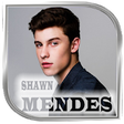 Shawn Mendes Songs Offline plus Lyrics icon