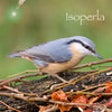Icon of program: Bird Id - British Isles I…