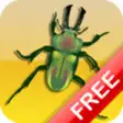 Icon of program: One Tap Insect Invasion F…