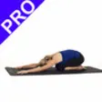 Icon of program: Yoga for Weight Loss Pro