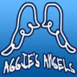 Icon of program: Aggie's Angels