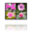 Icon of program: BatchCreateThumbnails