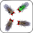 StarGenetics icon