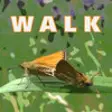 Icon of program: Walk Wild-Essex