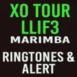 Icon of program: XO Tour Llif3 Marimba Rin…