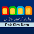 Pak Sim Data 2022 icon