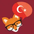 Icon of program: CleverDeck Turkish Flashc…