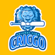 Icon of program: CricGo : Cricket Live Lin…
