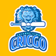 Icon of program: CricGo : Cricket Live Lin…