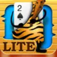 Icon of program: Video Poker Lite