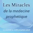 Icon of program: La Medecine Prophetique