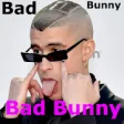 Icon of program: Bad Bunny Callaita Songs …