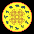 Icon of program: My Chinese Zodiacs