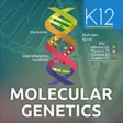 Icon of program: Genetics and Molecular Bi…
