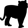 Icon of program: Cats - Quiz