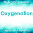Icon of program: Oxygenation Exam Review :…