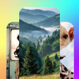 Icon of program: Canvasly Walls