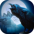 Icon of program: Ravenhill Asylum: Hidden …