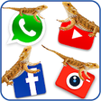 Icono de programa: Lizard on social apps fu…