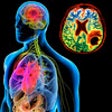 Icon of program: Encyclopedia of Cancer