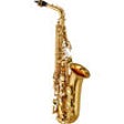 Icon of program: Learn To Play The Saxopho…