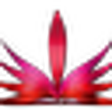 Icon of program: PhotosArtist