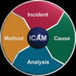 Icon of program: SWS ICAM