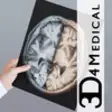 Icon of program: Radiology - Head